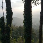 découvrez les causes possibles et les solutions pour une pompe à chaleur air-eau qui ne chauffe pas assez, afin d'optimiser son fonctionnement et améliorer votre confort thermique.