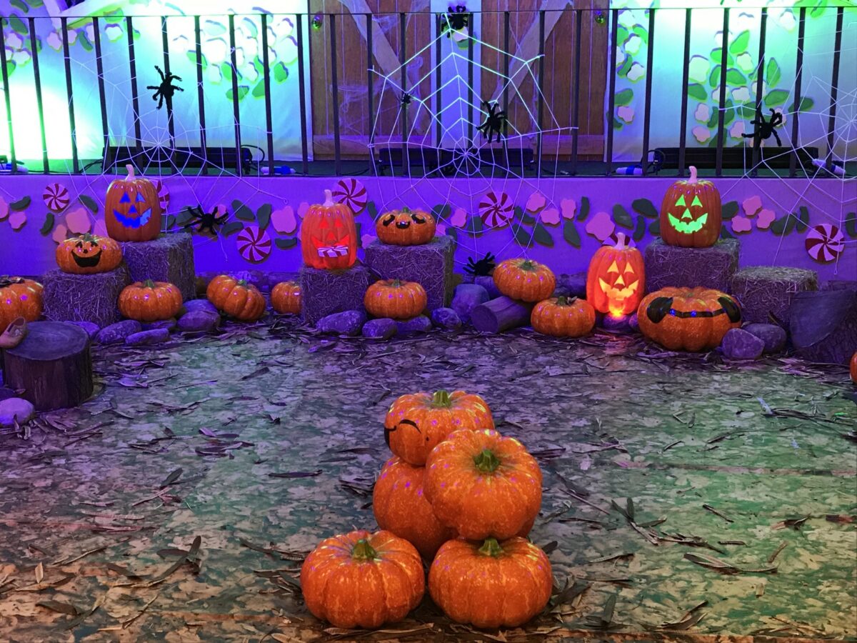 Décoration Halloween