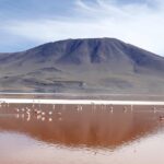 Laguna colorada