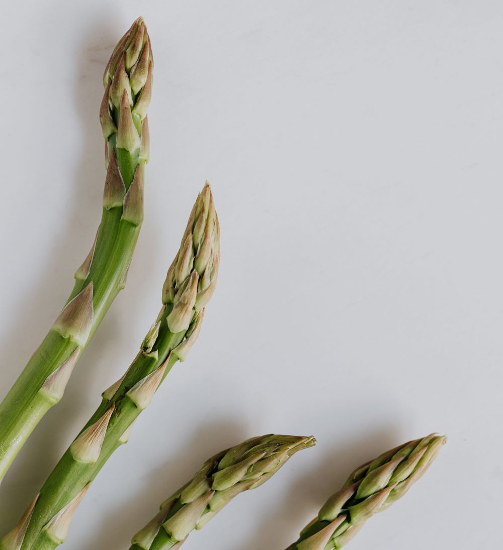 asperge blanche