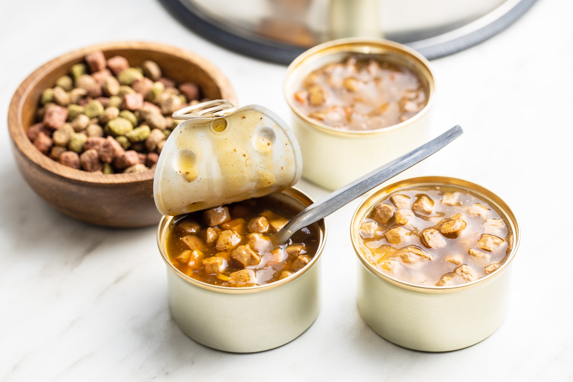 pâtées pour chien