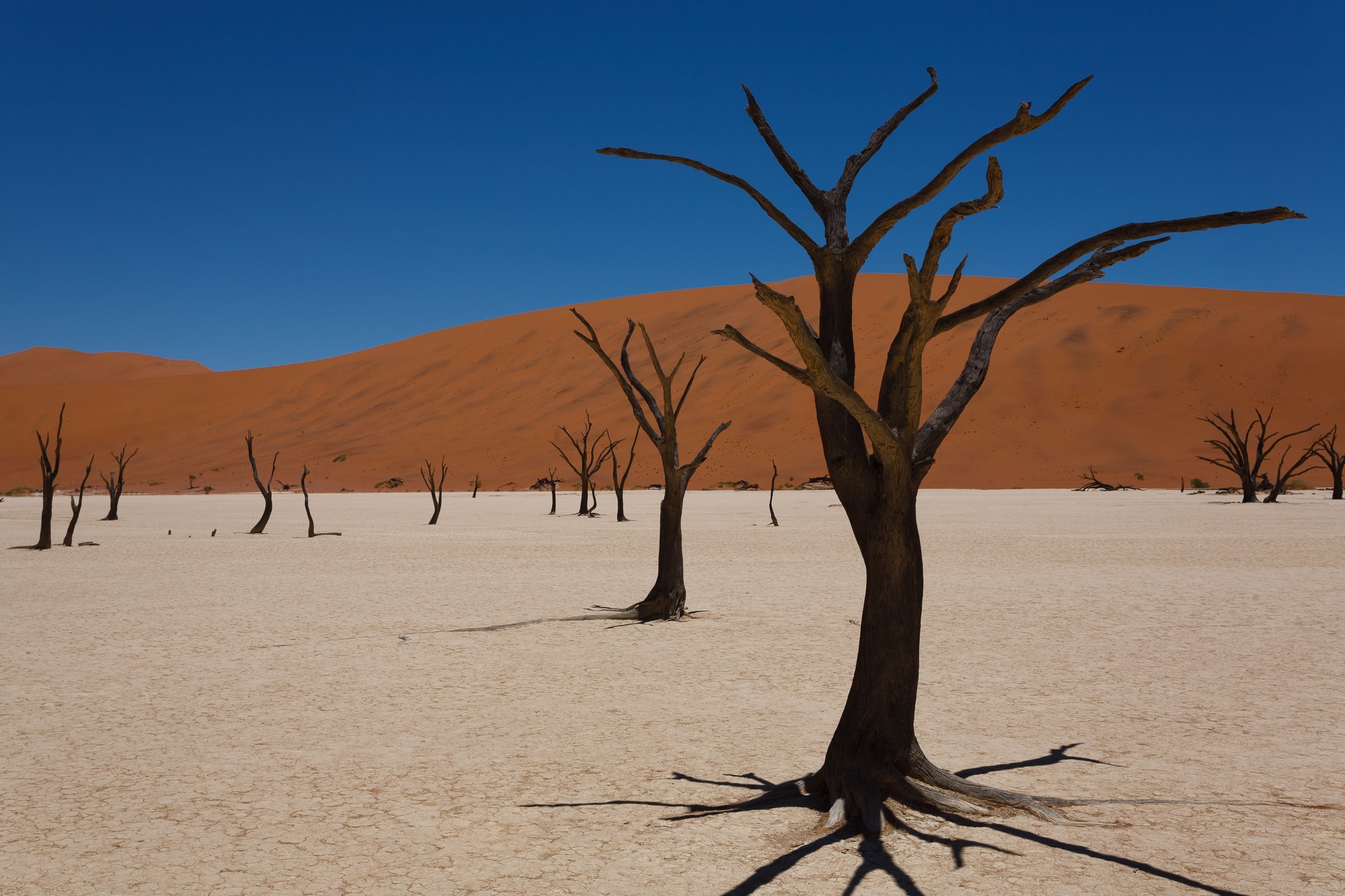 paysage surréaliste