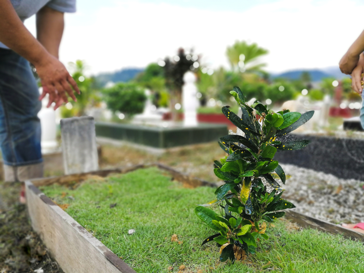 fleur cimetière