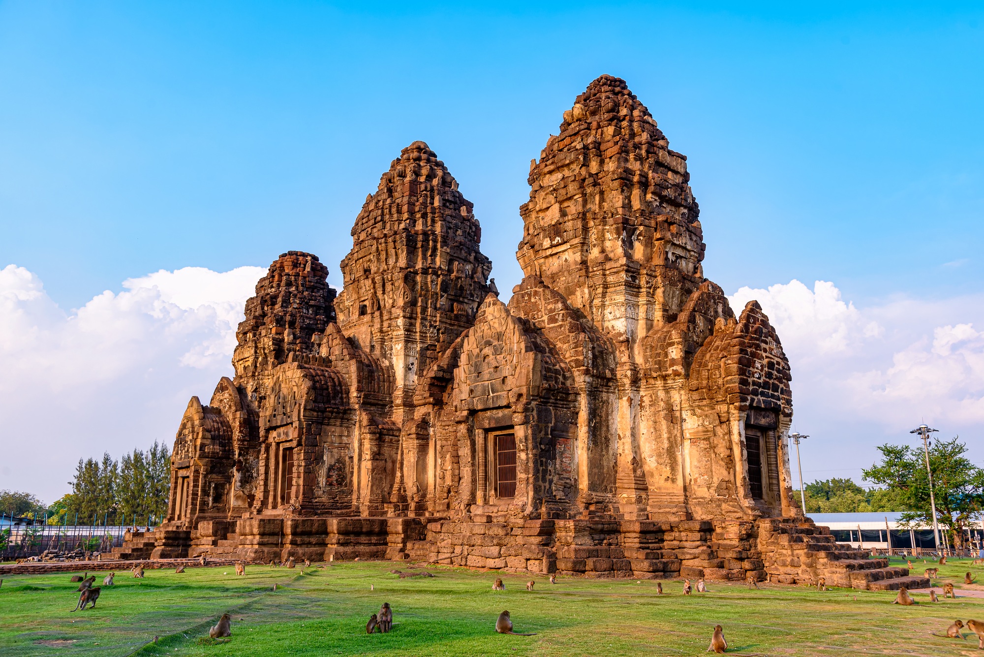 temple des singes de Lopburi 