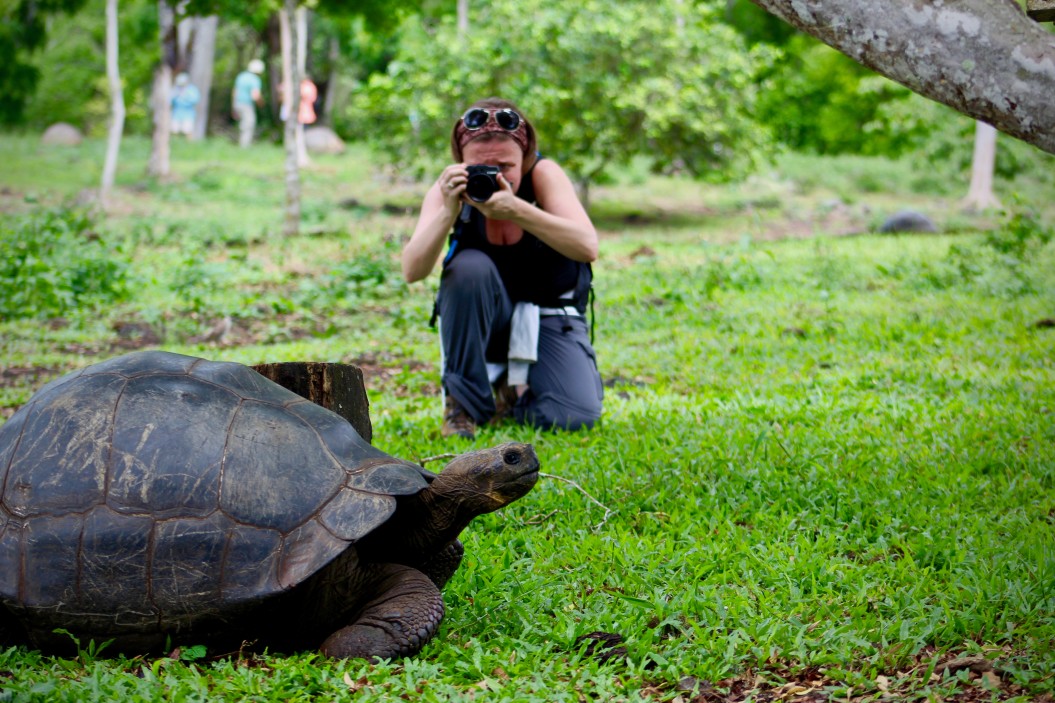 voyager aux îles Galapagos